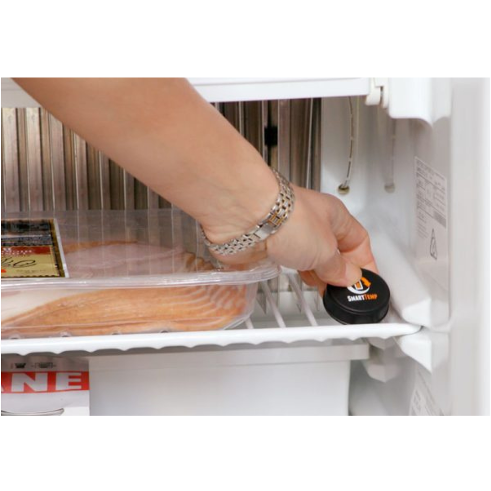 BMPRO Smart Temp Bluetooth Temperature Sensor